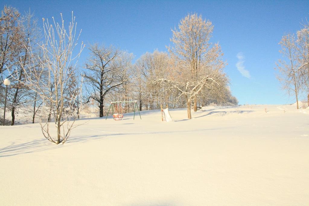 Agroturystyka Ulima Dziwiszow Esterno foto
