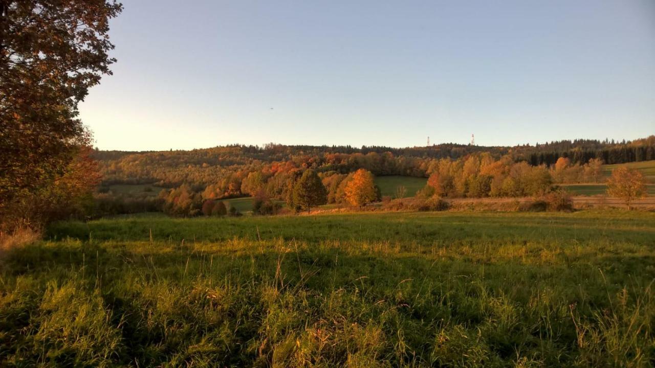Agroturystyka Ulima Dziwiszow Esterno foto
