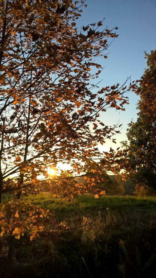 Agroturystyka Ulima Dziwiszow Esterno foto